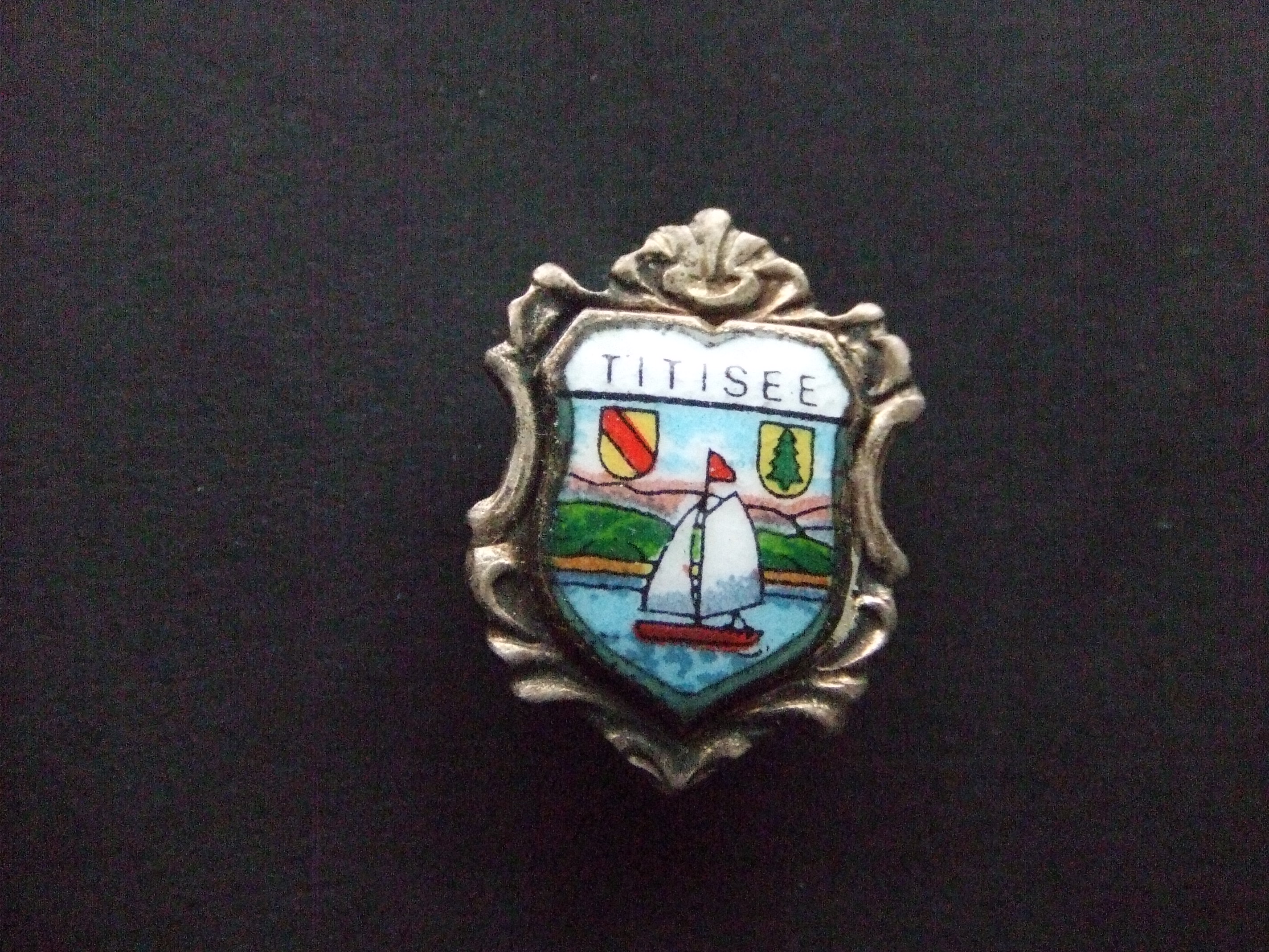 Titisee-Neustadt Wälderstadt Baden-Württemberg Duitsland